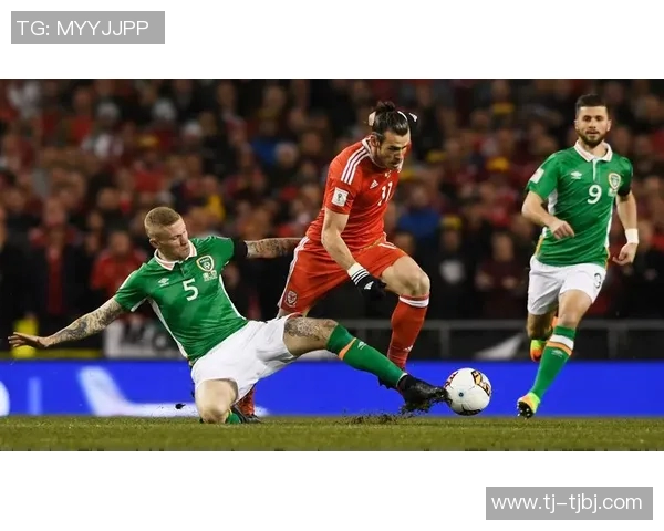 塞尔维亚对阵威尔士精彩直播全程回顾与赛后分析 塞尔维亚对阵威尔士精彩直播全程回顾与赛后分析