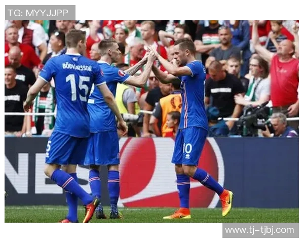 2016年奥地利对阵冰岛精彩直播回顾与赛后分析