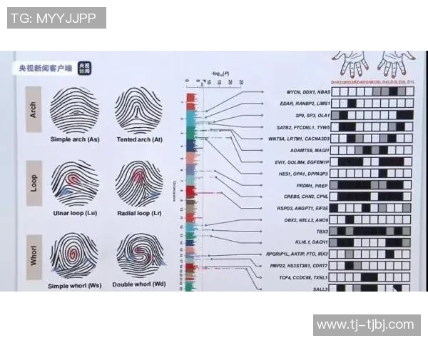 五指与六指的奇妙对比探讨人类手指数量的遗传与进化之谜