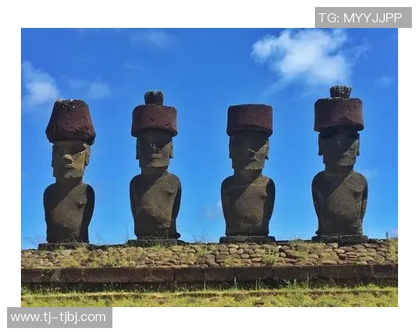 智利大学与巴勒斯坦人之间的文化交流与冲突探讨