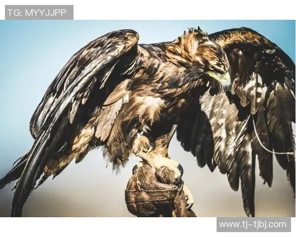 梅尔加与体育生对决精彩纷呈谁能在这场较量中脱颖而出