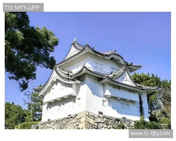 名古屋与东京的文化碰撞与城市魅力深度对比分析