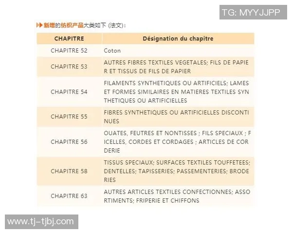 荷兰与喀麦隆比赛比分预测分析及双方近期状态评估