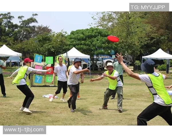 飞盘盛宴：深入了解成都飞盘队的团队合作与精神风貌MBA