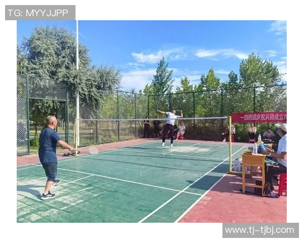 陈敏独家分享羽毛球技巧与心得助你提升球技的秘密宝典